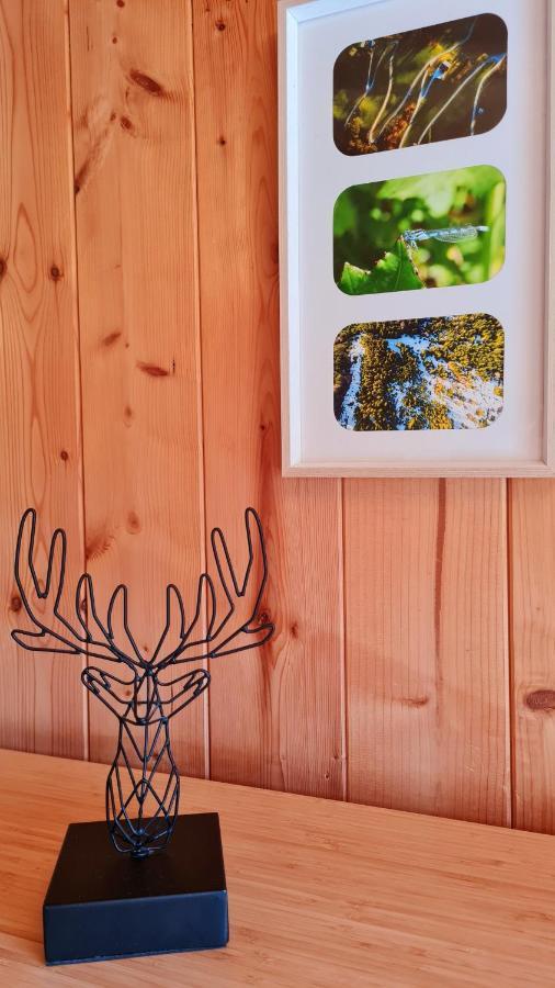 Haus Emmy - Urlaub Bei Freunden Villa โฮเฮนเทาเอิร์น ภายนอก รูปภาพ